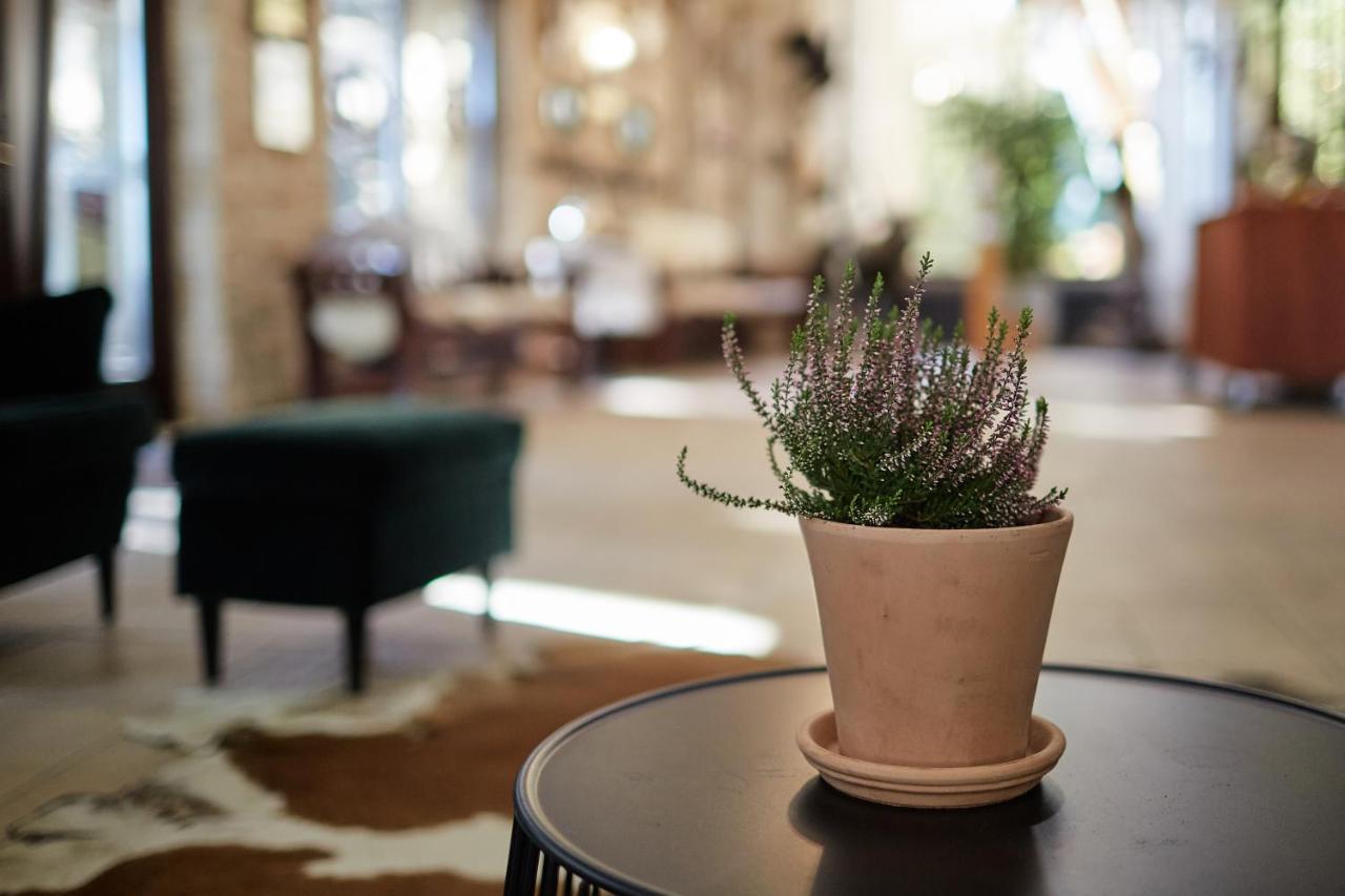 Bed and Breakfast Tercia Hubertus Panzio Шопрон Экстерьер фото