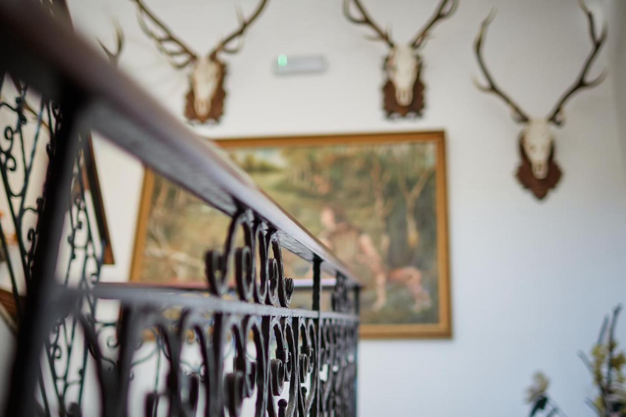 Bed and Breakfast Tercia Hubertus Panzio Шопрон Экстерьер фото