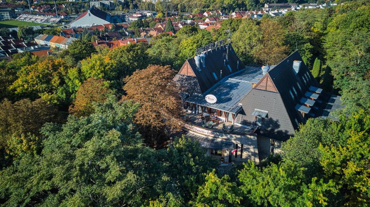 Bed and Breakfast Tercia Hubertus Panzio Шопрон Экстерьер фото